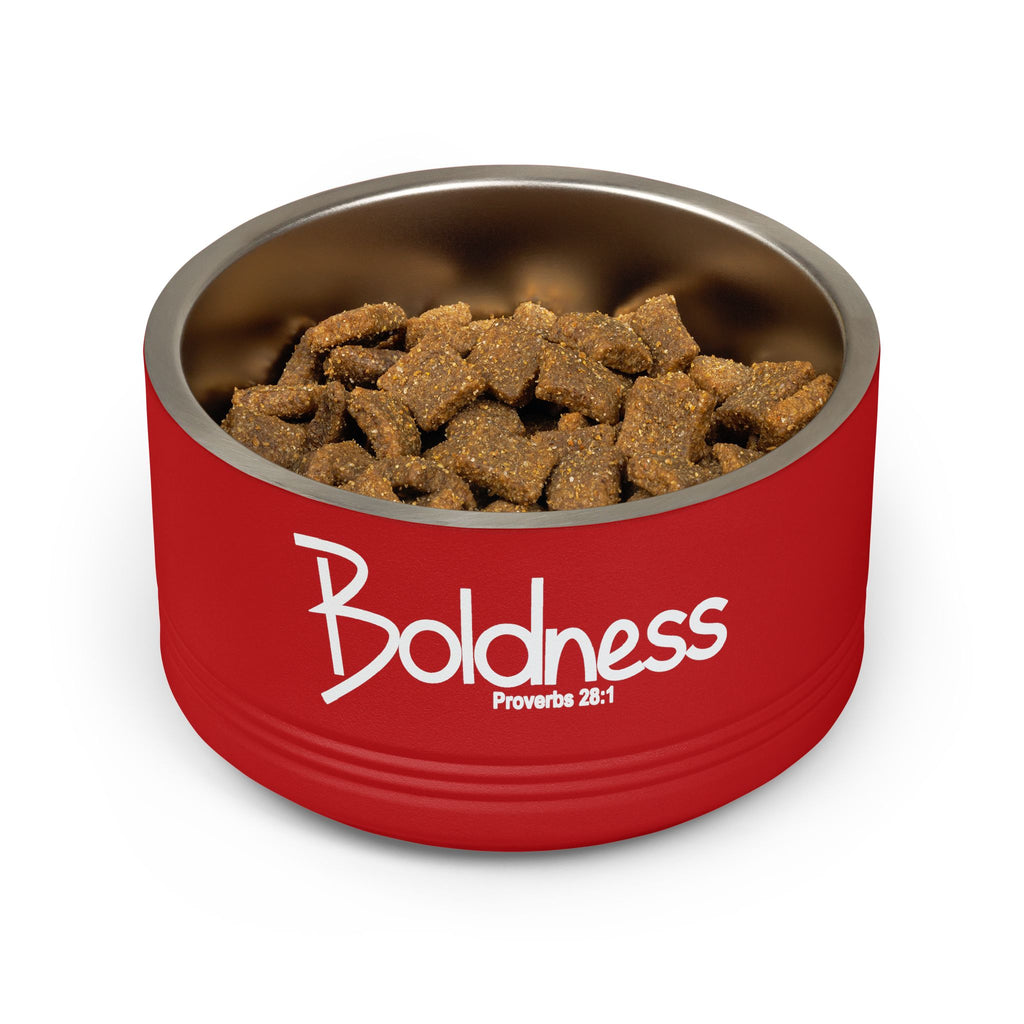 18oz Pet Bowl Stainless Steel  (Boldness)