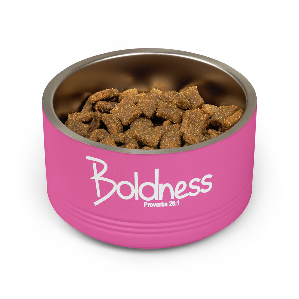 18oz Pet Bowl Stainless Steel  (Boldness)