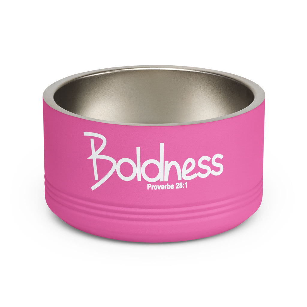18oz Pet Bowl Stainless Steel  (Boldness)